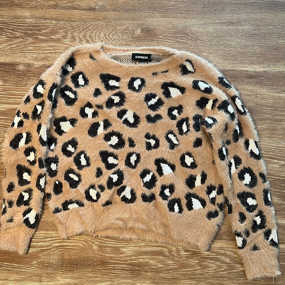 Express sweater